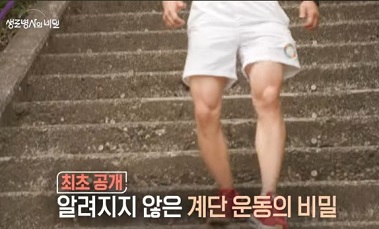 계단운동의비밀
