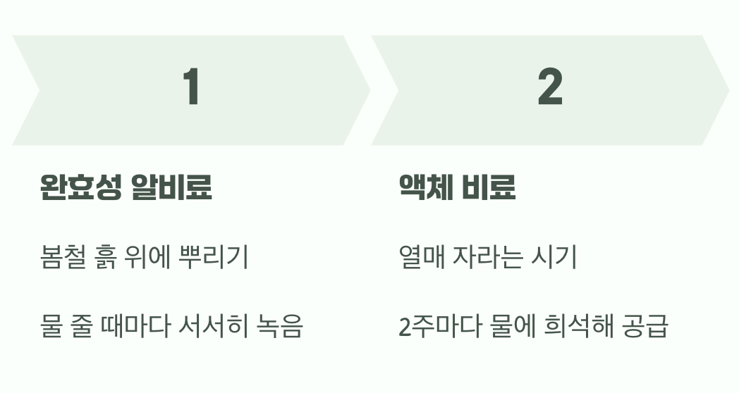 화분에 키운다면&amp;#44; 조금 더 세심하게