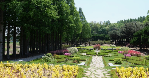 아가페정원 메타세콰이어길