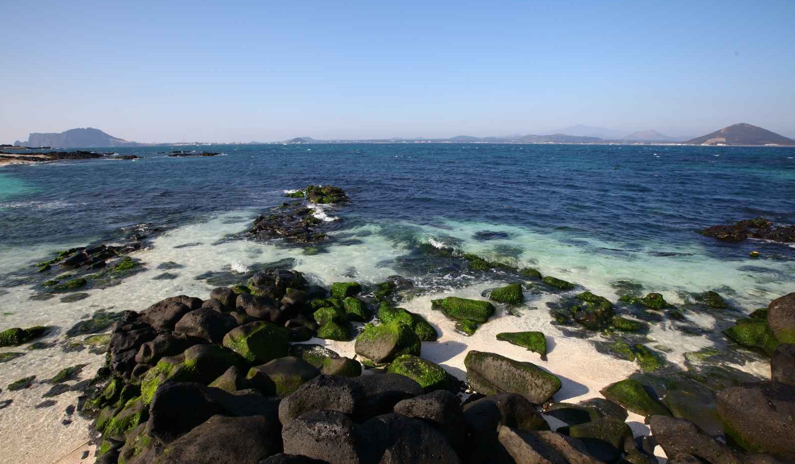 산호해변