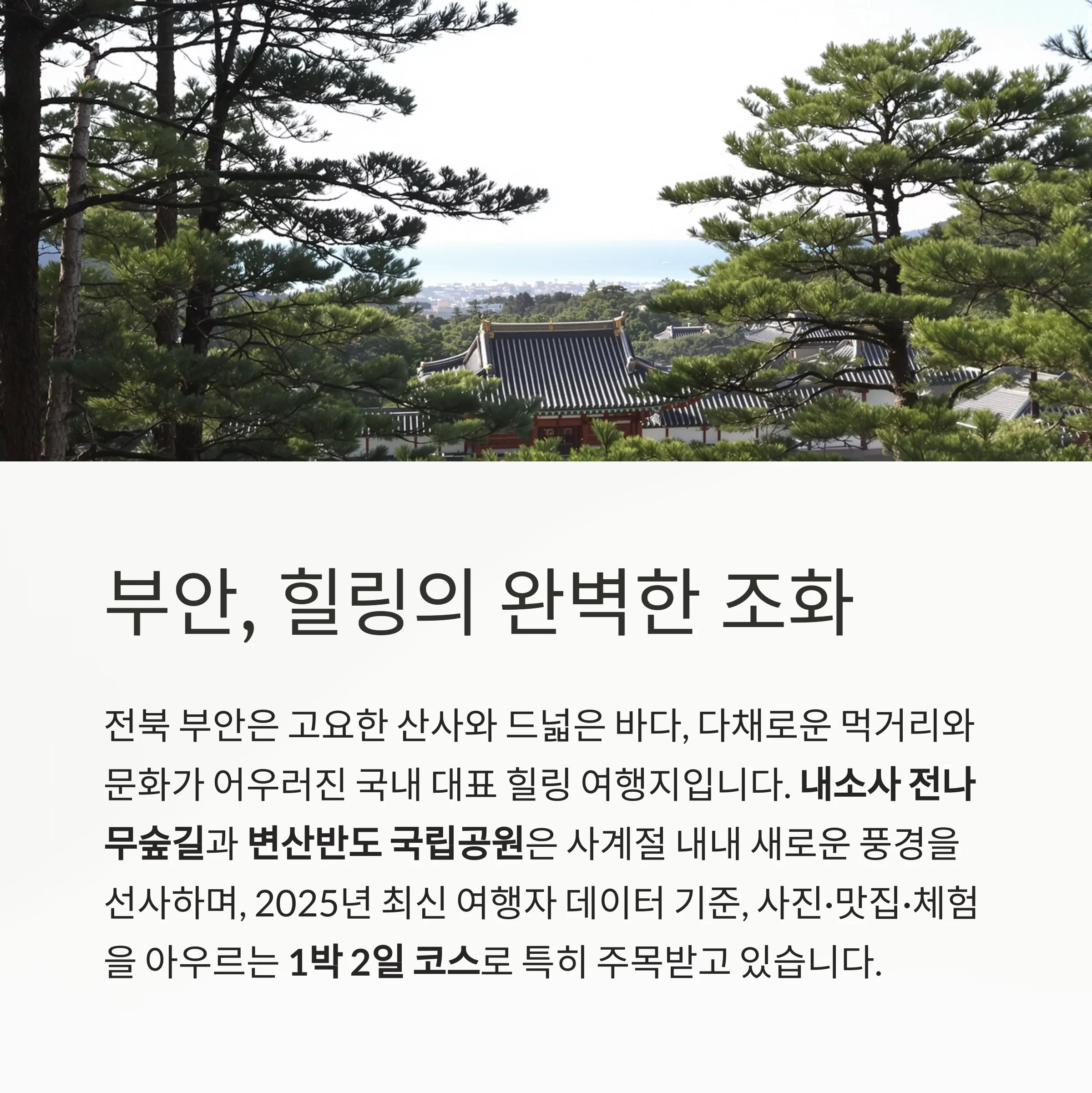 전북 부안 내소사 전나무숲길 & 변산반도
