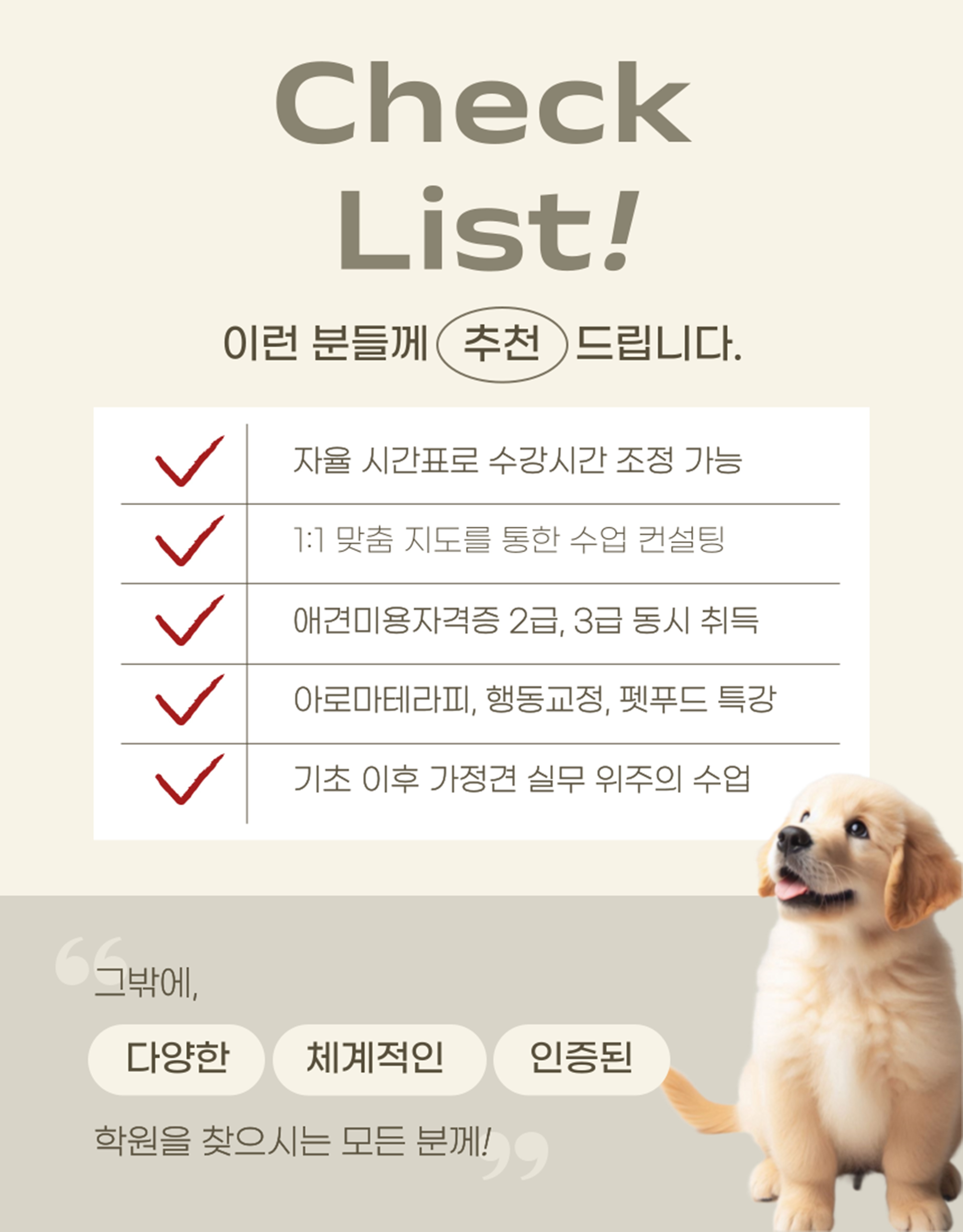 논현애견미용학원