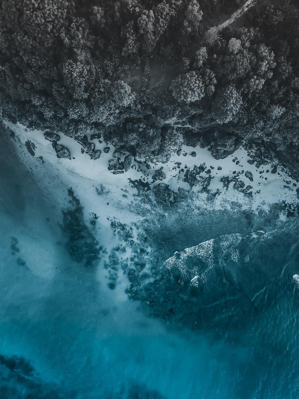 2025 관악형 주민 건강실천단