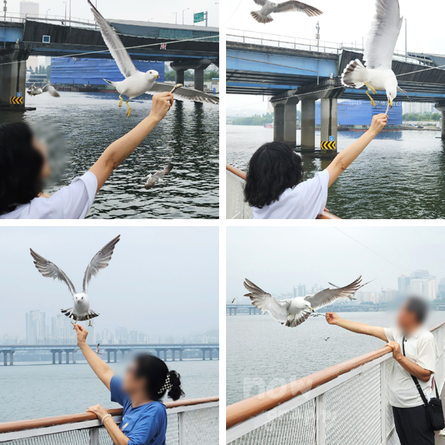 여의도-이랜드크루즈-유람선