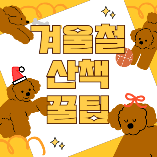 겨울철 강아지 산책하기 반려견 산책에서 꼭 알아야 할 팁