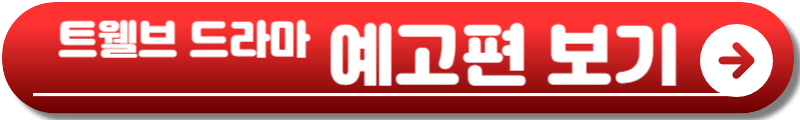 트웰브 드라마