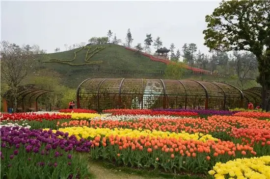 순천만국가정원