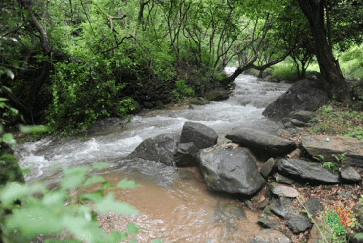 진천군 연곡계곡