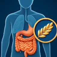 카무트 효소 효능