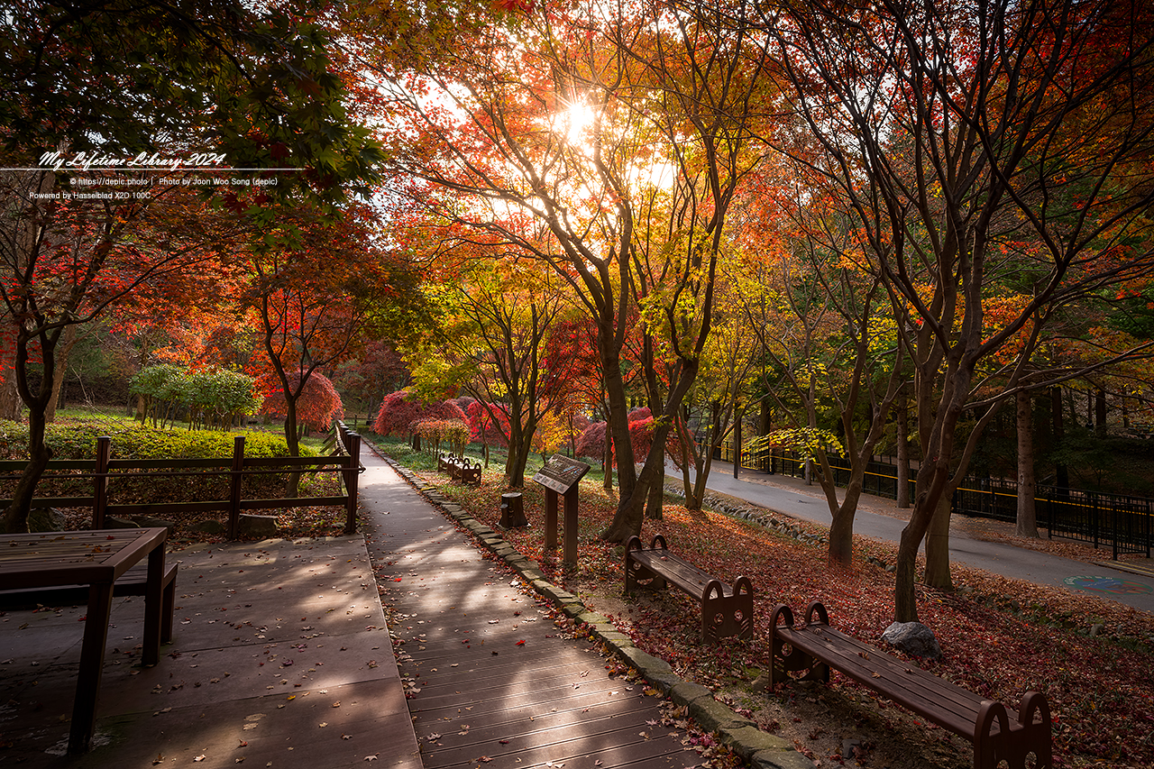 #가을 #단풍 #청주 #미동산 #수목원