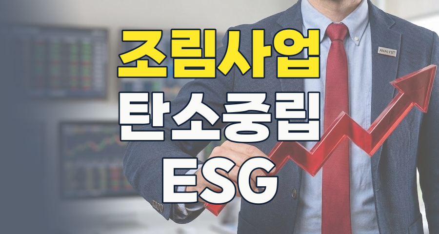 2026년, 숲이 돈이 된다? 탄소중립 시대의 핵심, 조림사업 테마주 심층 분석