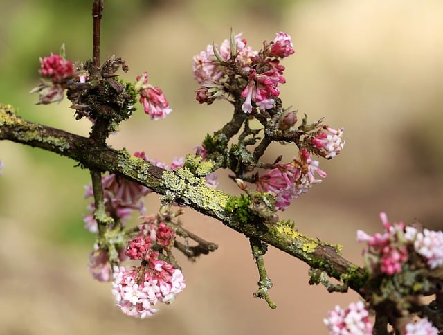 김수미 나이 프로필 정리 ✅