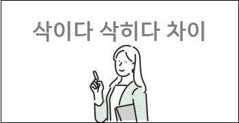 삭이다 삭히다 차이