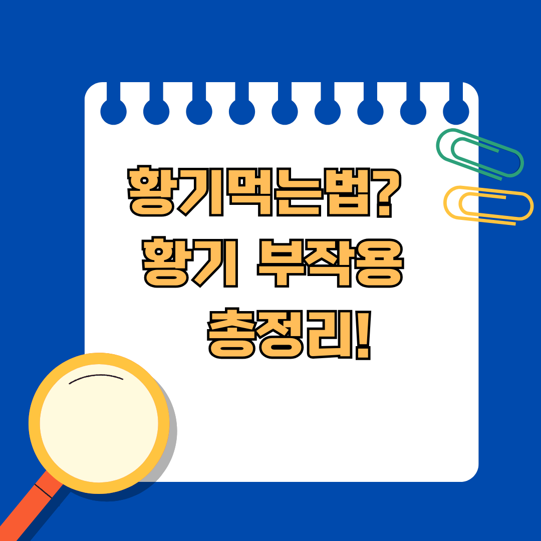 황기먹는법? 황기차끓이는법부터 황기부작용까지 총정리!