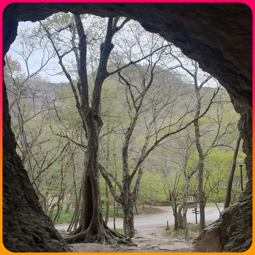 진흥굴_내부에서