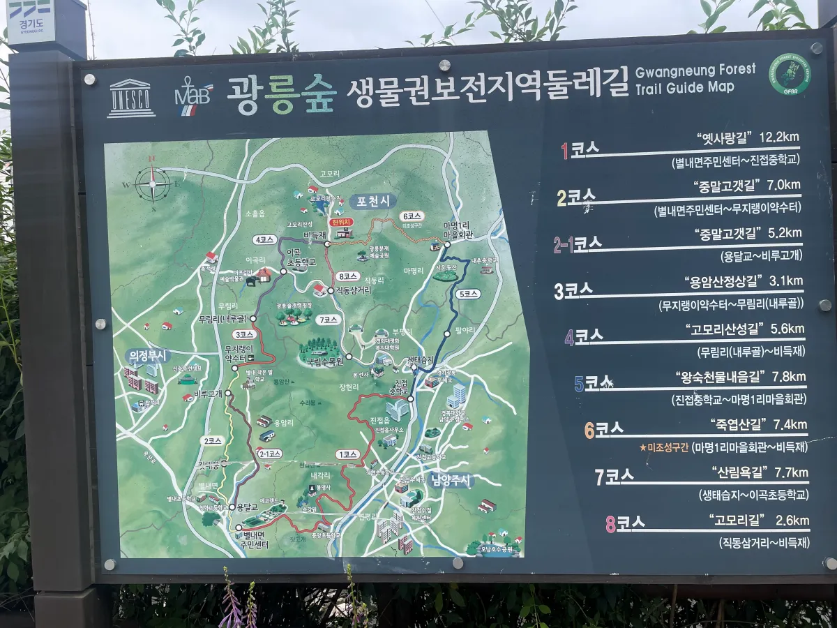 포천-국립수목원-근처-데크길에서-산책하기-좋은-고모리호수공원,-고모저수지