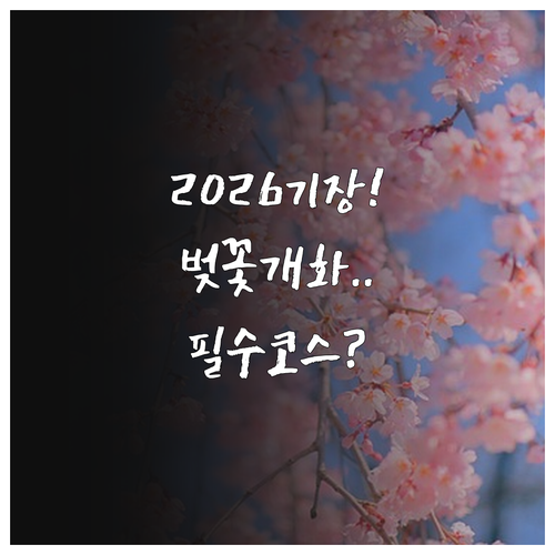 2026 기장 벚꽃 여행 코스 및 실..