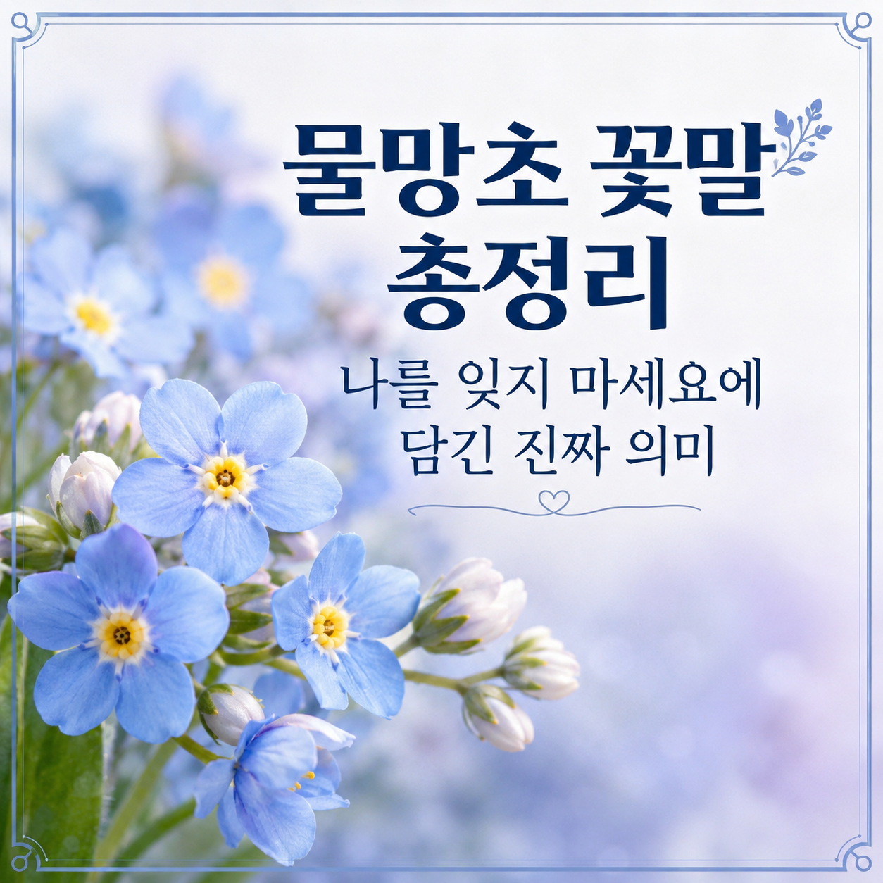 물망초 꽃말