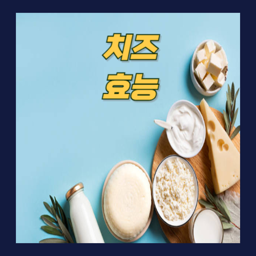 치즈 효능