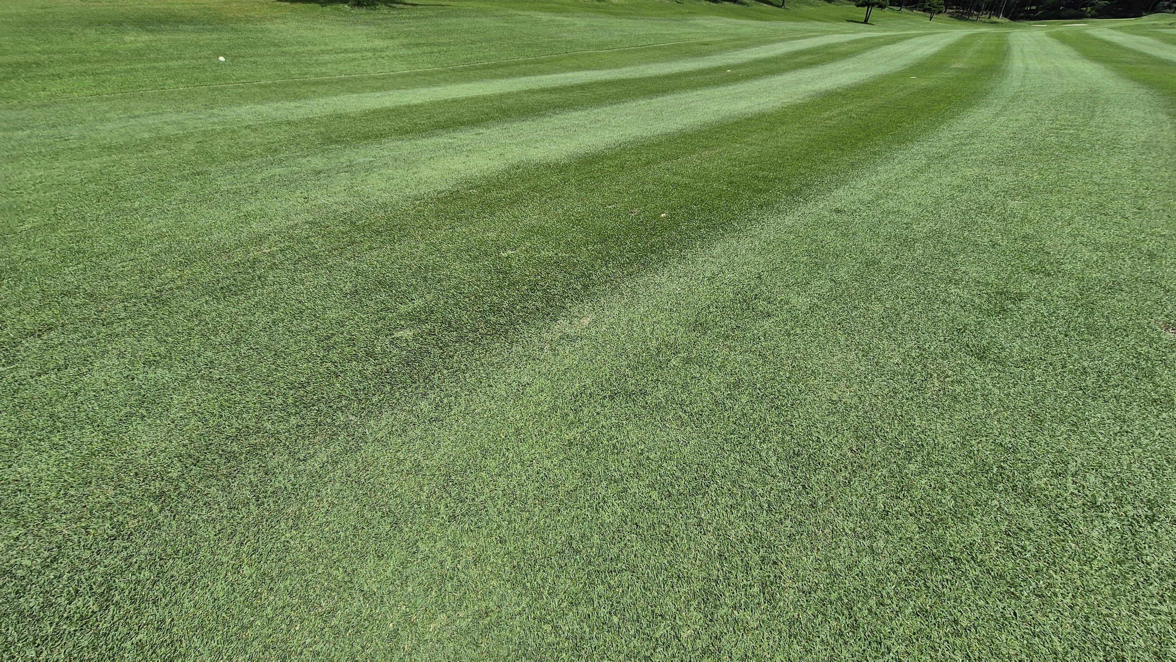 한성cc 오렌지-그린 코스 라운드 후기