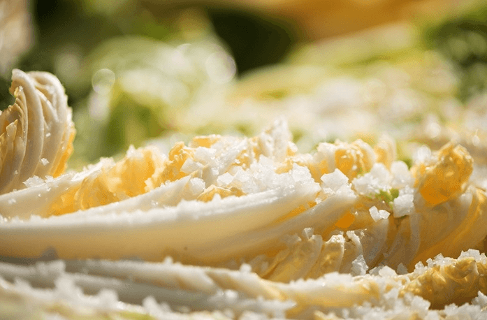 2024 홈플러스 절임배추 사전예약