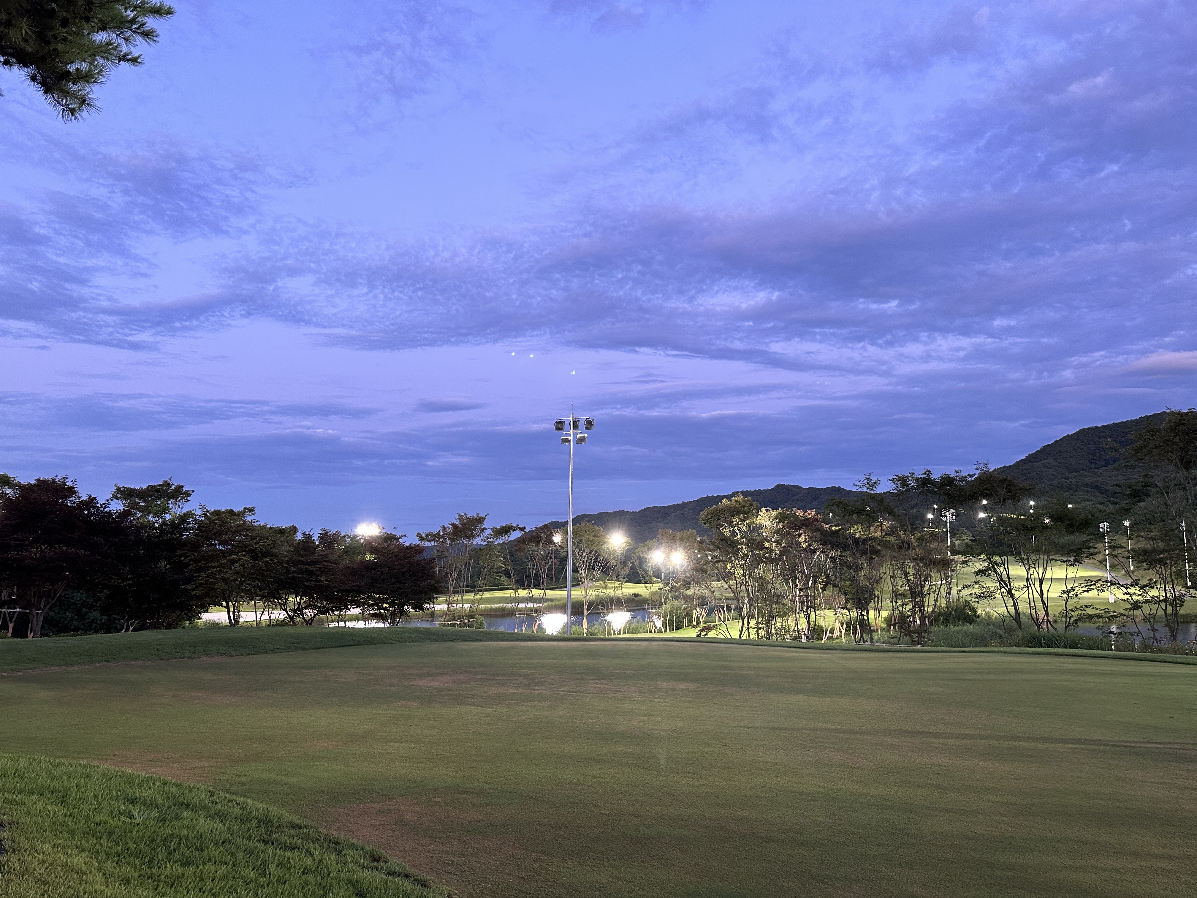 옥스필드 cc 야간골프