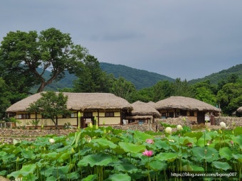 6시 내고향 방영 맛집 아산 한우 경동식당&amp;#44; 현지인이 진짜로 가는 이유