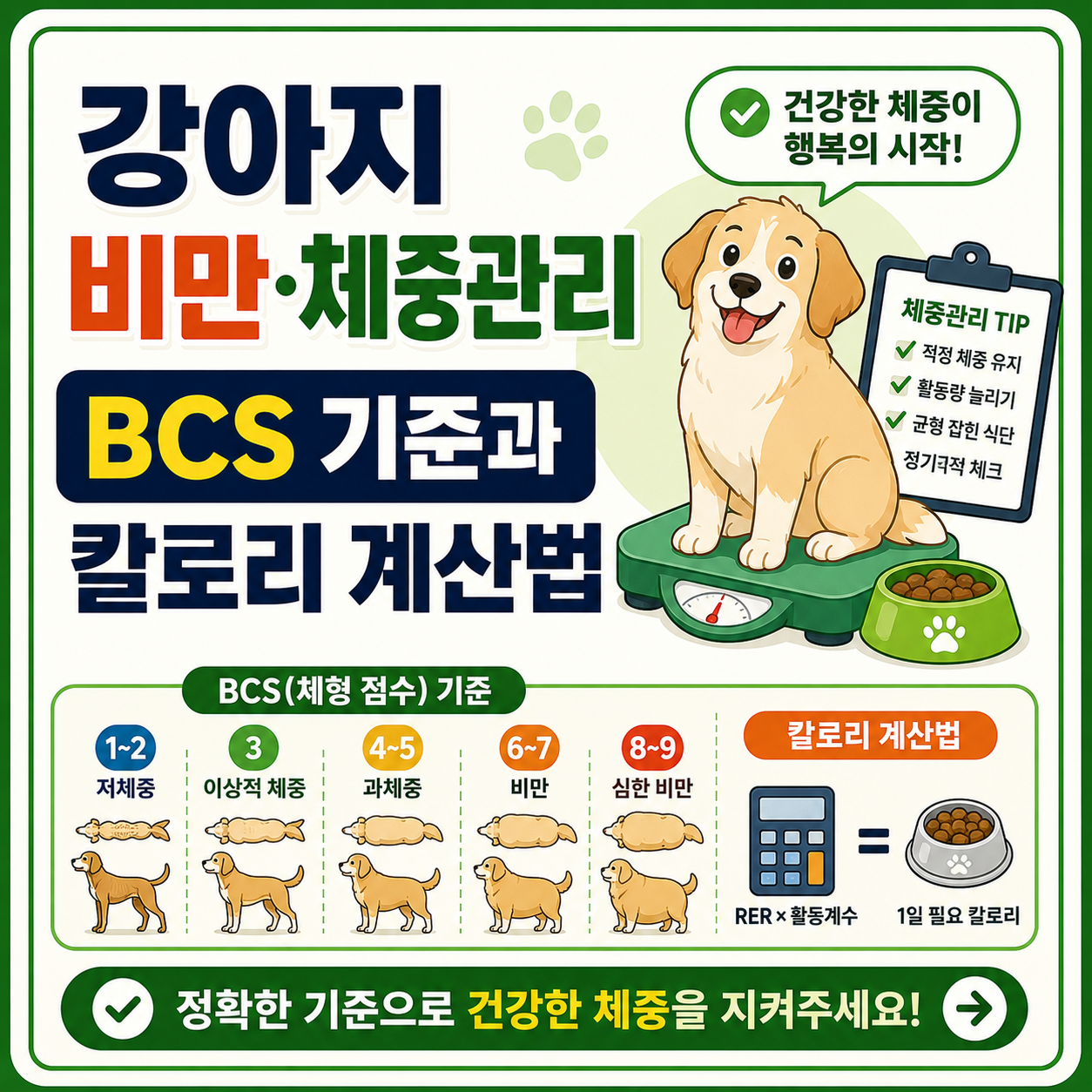 강아지 비만