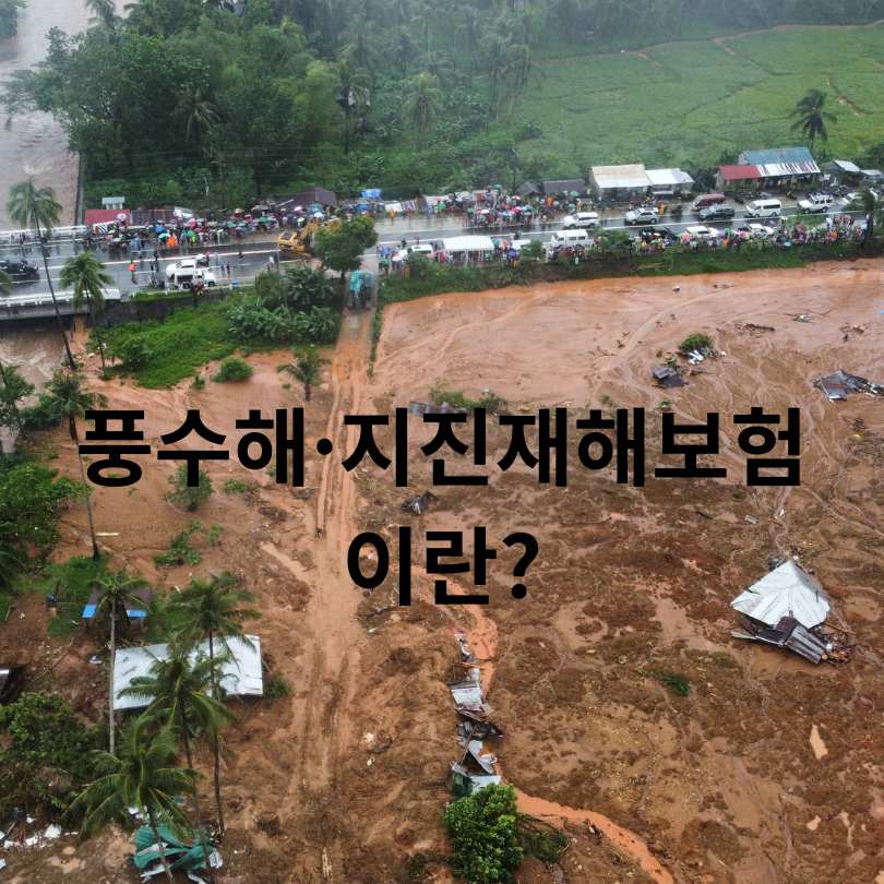 풍수해 지진재해보험 정부지원 신청방법