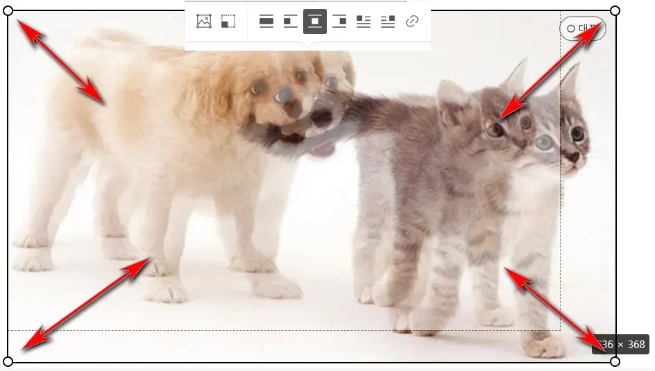 티스토리새에디터에서이미지가로로정렬하기_3