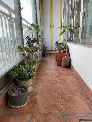 식집사가 되면 자연스럽게 바뀌는 생활 습관