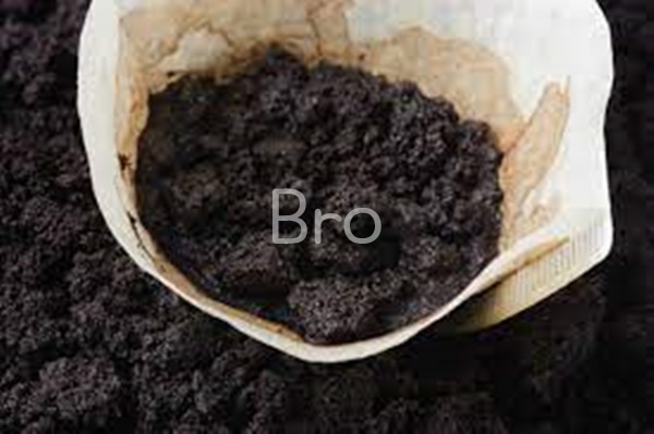 커피 찌꺼기 사진 1