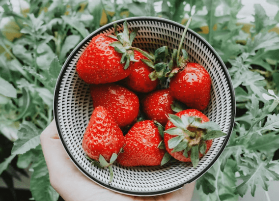 건강한 혈당 관리를 돕는 음식 7가지