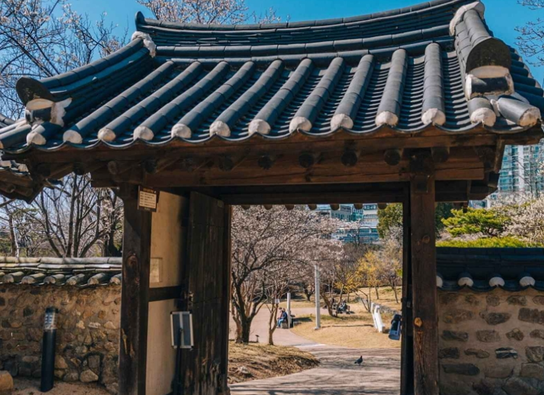 대전 가볼만한곳 베스트10