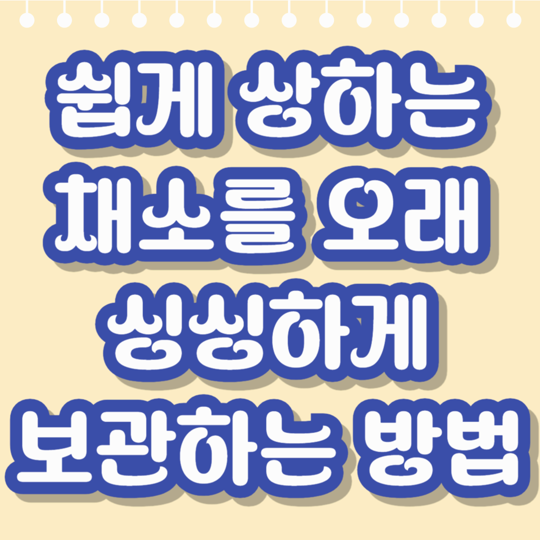 쉽게 상하는 채소를 오래 싱싱하게 보관하는 방법
