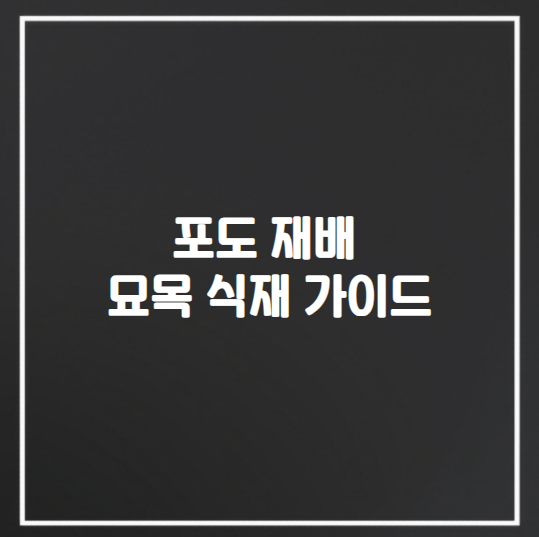 포도 재배의 핵심 묘목 식재 가이드