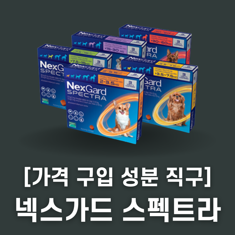 넥스가드 스펙트라 직구