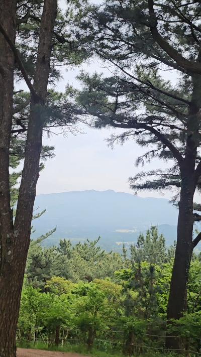 한라수목원 정상에서 바라 본 한라산