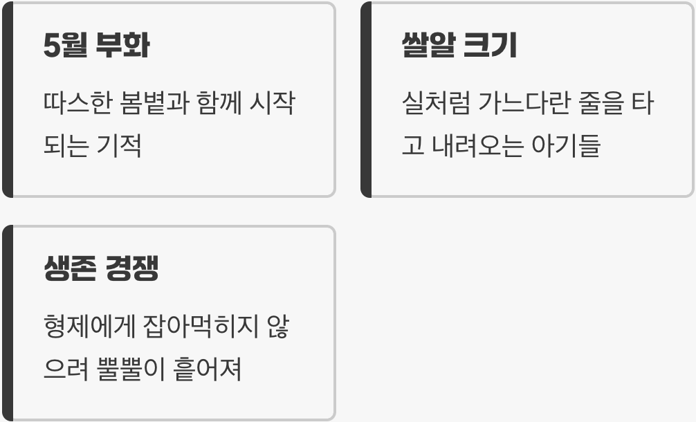 2. 세상 밖으로의 첫걸음, 부화의 순간