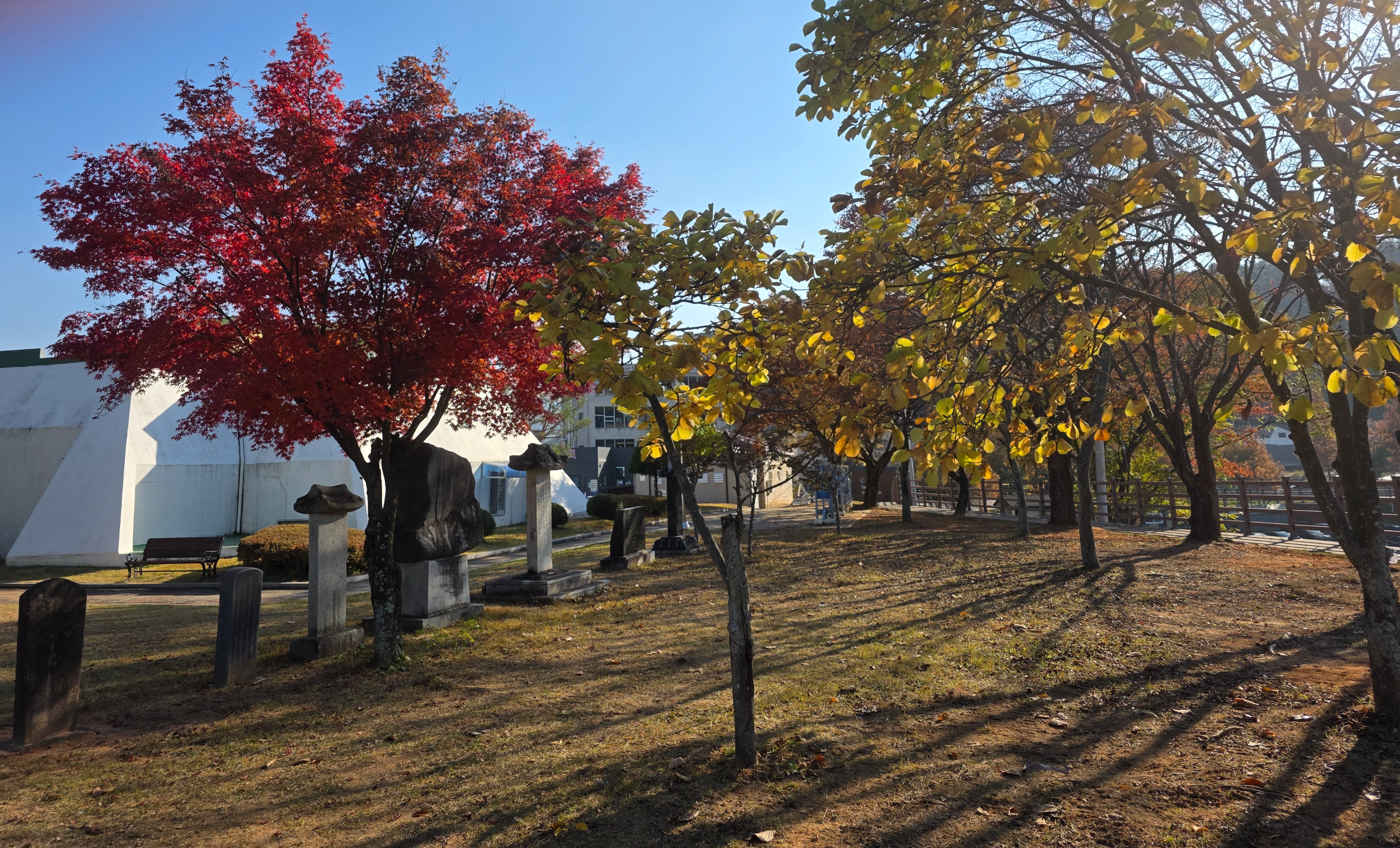 차로 갈 수 있는 횡성 호수길 단풍
