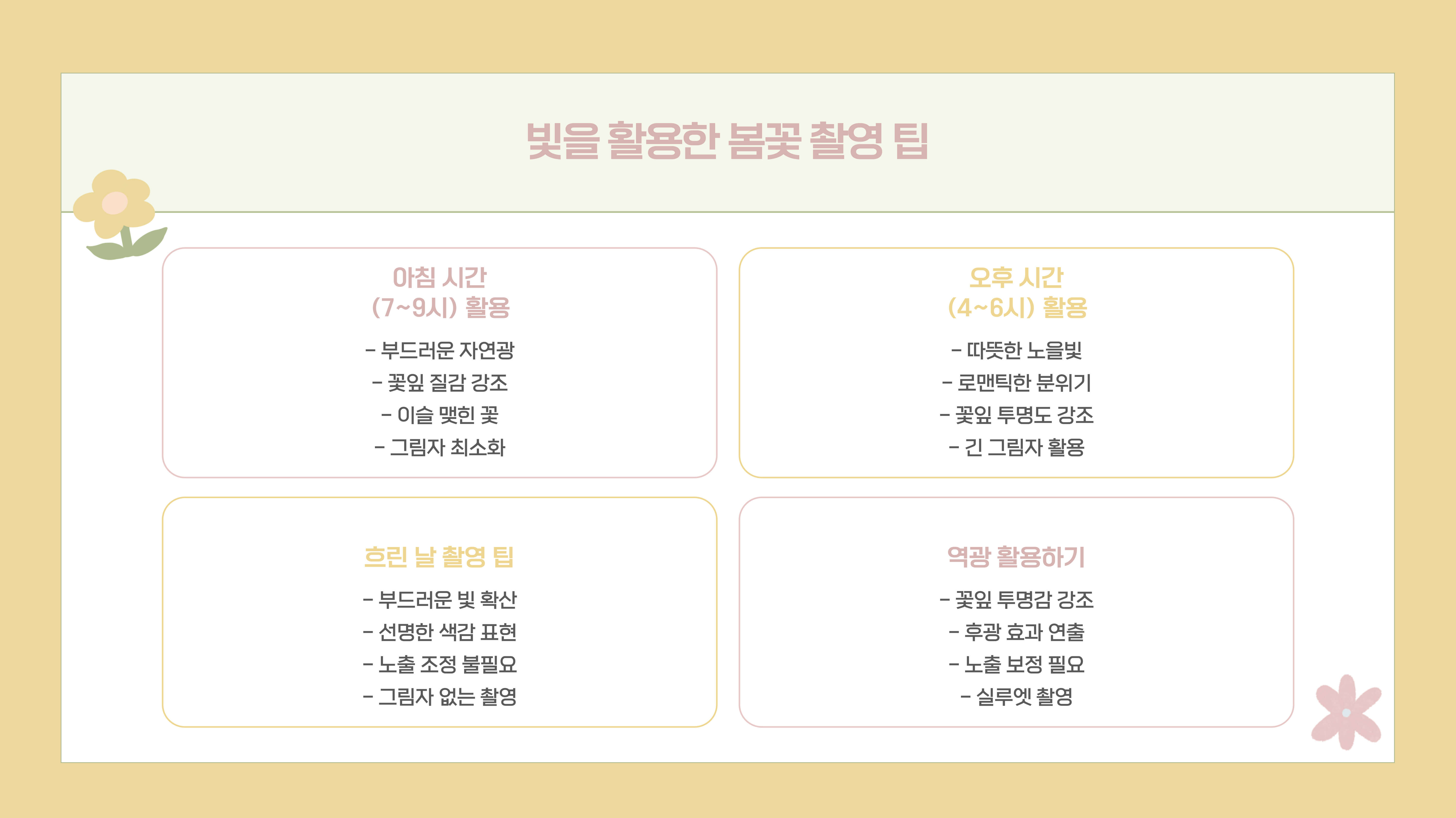 화담숲 봄꽃 사진 촬영 팁