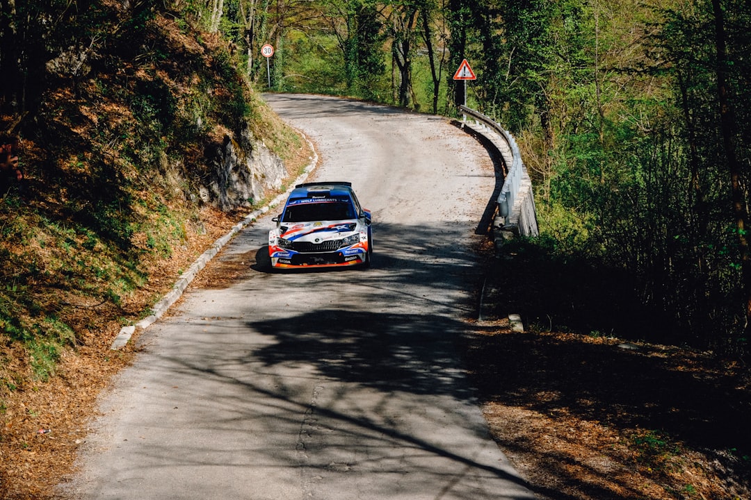 Rally