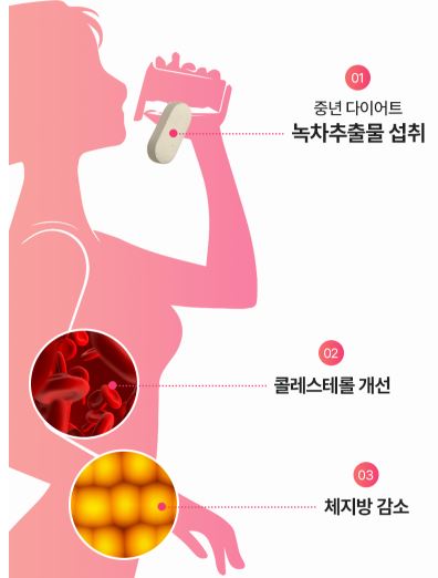 플로라필 녹차 카테킨 효과