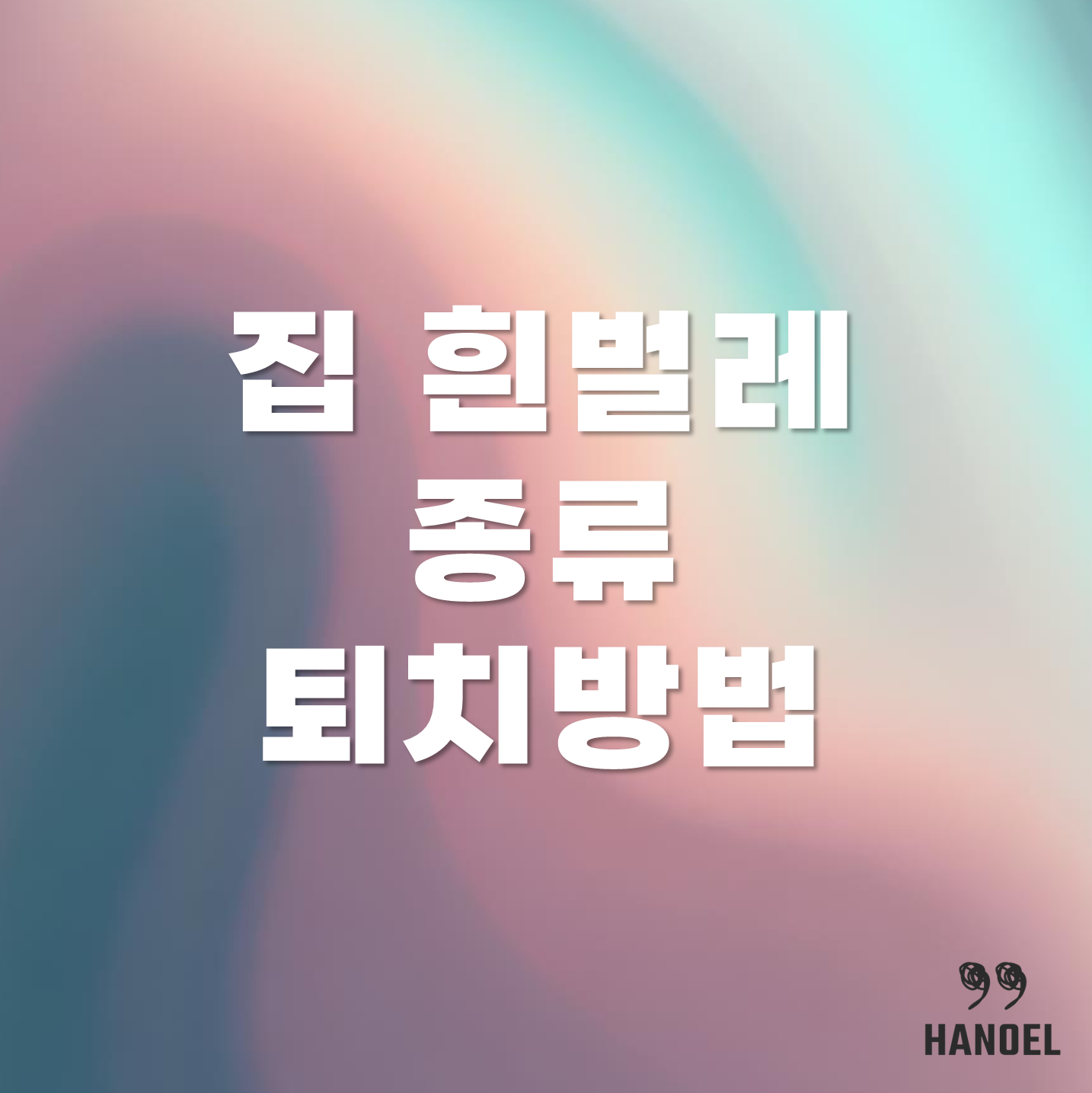 집, 화장실,옷장에 나오는 흰벌레 종류와 퇴치방법