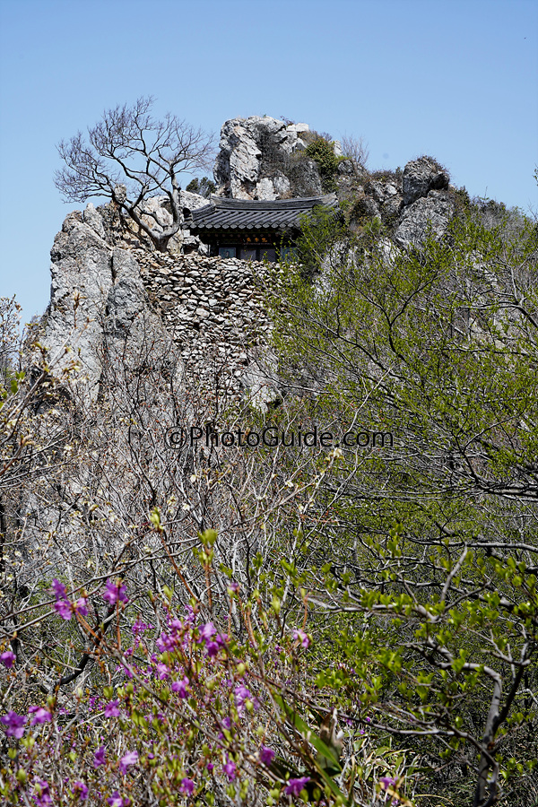 해남달마산도솔암