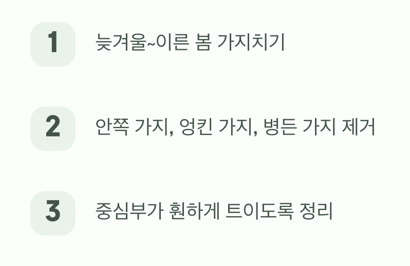 풍성한 수확을 위한 과감한 가위질 (가지치기)