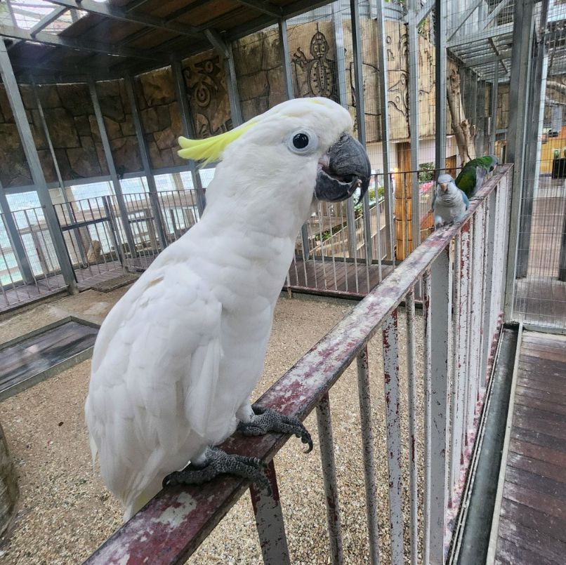 오산버드파크
