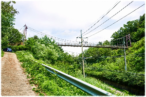혈구산