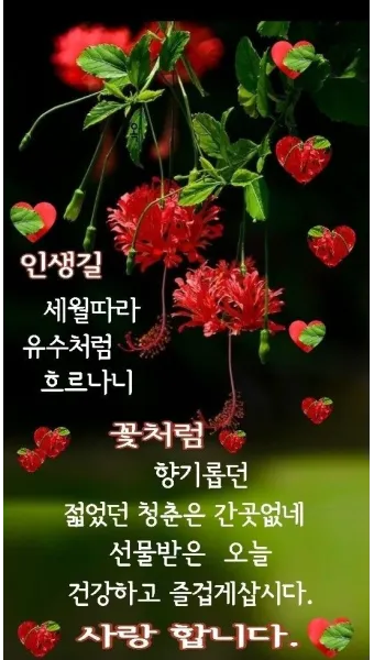 아침 인사말 이미지 모음 밝고 따뜻한 하루 인사 문구 정리_14