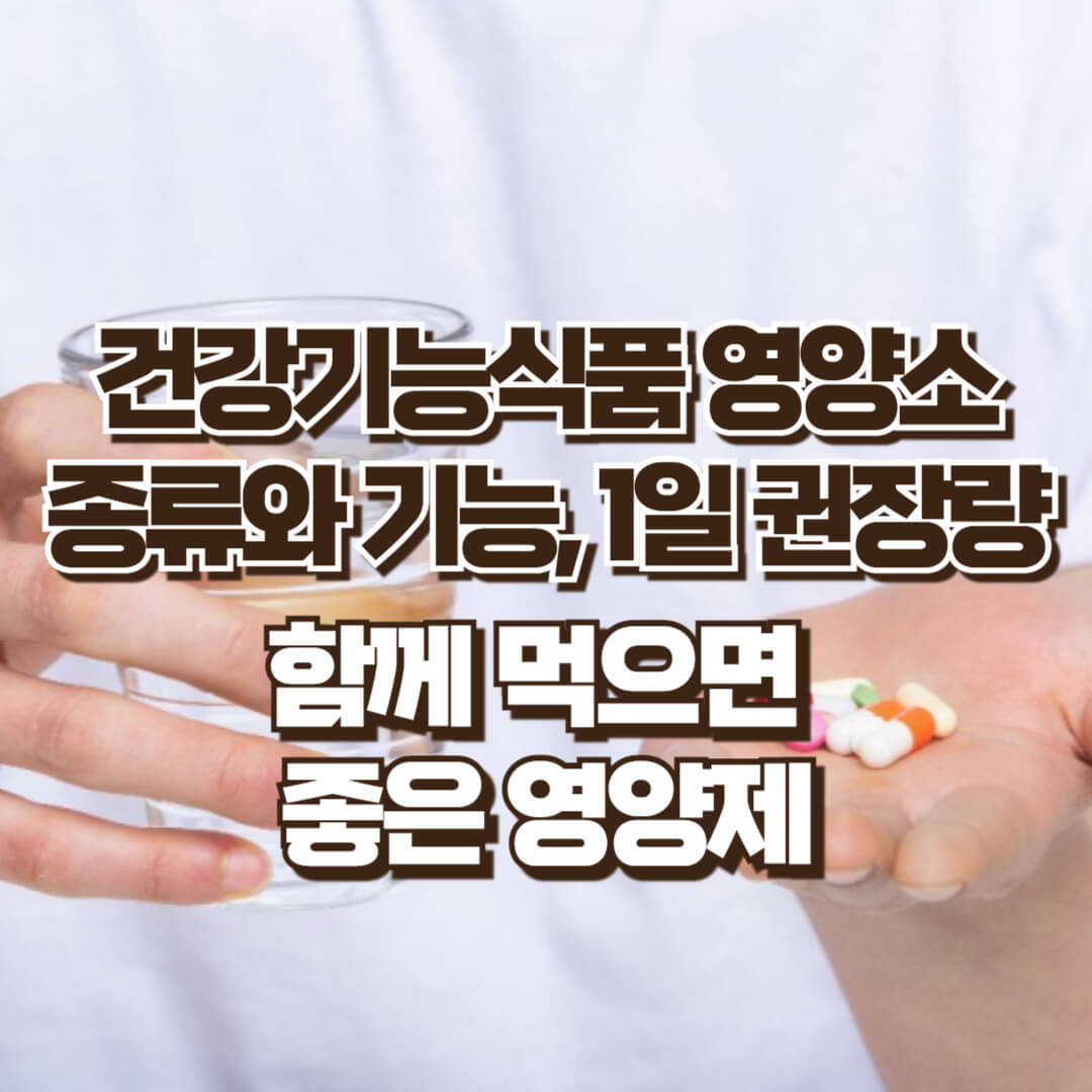 영양소의 종류와 기능